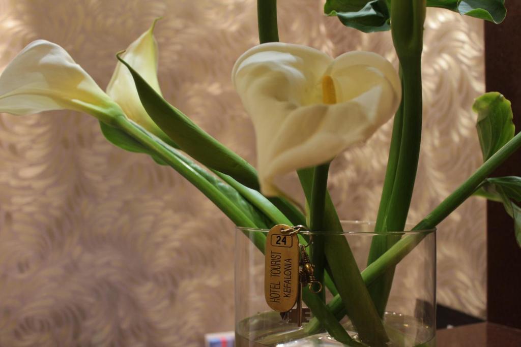 Tourist Boutique Hotel Argostoli  Esterno foto